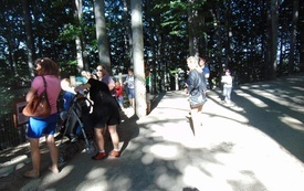 phpThumb_generated_thumbnail (7)