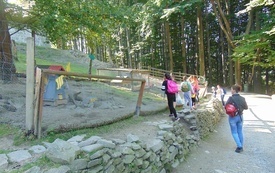 phpThumb_generated_thumbnail (5)