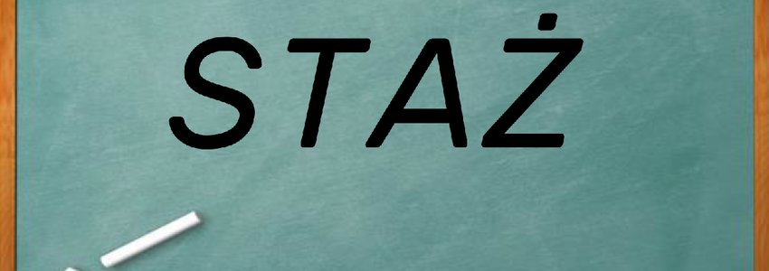 Zdjęcie do Staże w ramach projektu Program Aktywności Lokalnej dzielnic Stare i Nowe Miasto "Aktywność szansą na nowy początek".