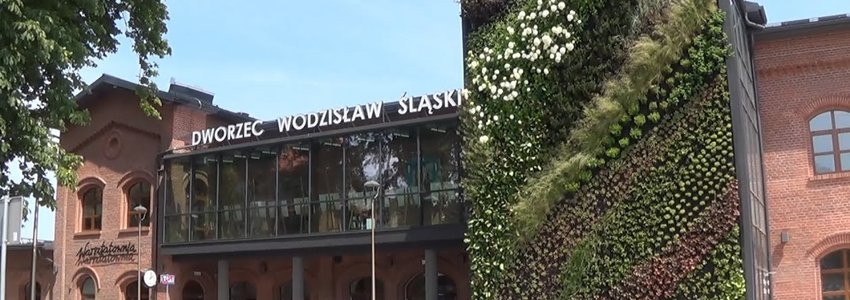 Zdjęcie do Warsztaty umiejętności praktycznych dla uczestnik&oacute;w PAL Wilchwy.